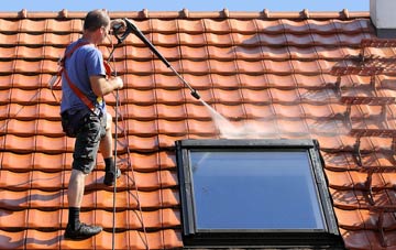 roof cleaning Stoke Gabriel, Devon